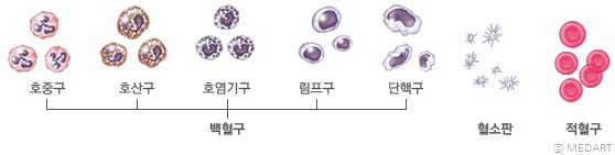 서울대학교병원