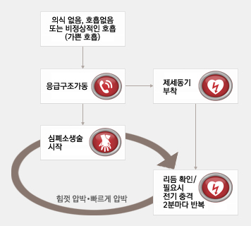 단순화된 성인 기본소생술 알고리즘