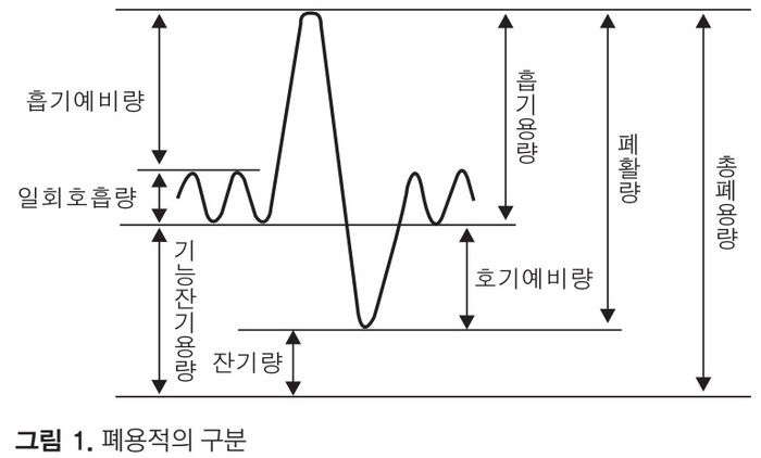 폐용적의 구분