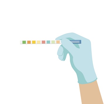 요시험지봉 검사