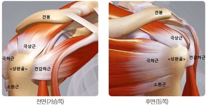 회전근개증후군 정의