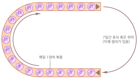 경구 피임약 복용 방법