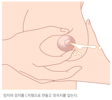 모유 수유 방법