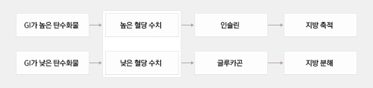 당지수를 이용한 혈당 조절의 원리