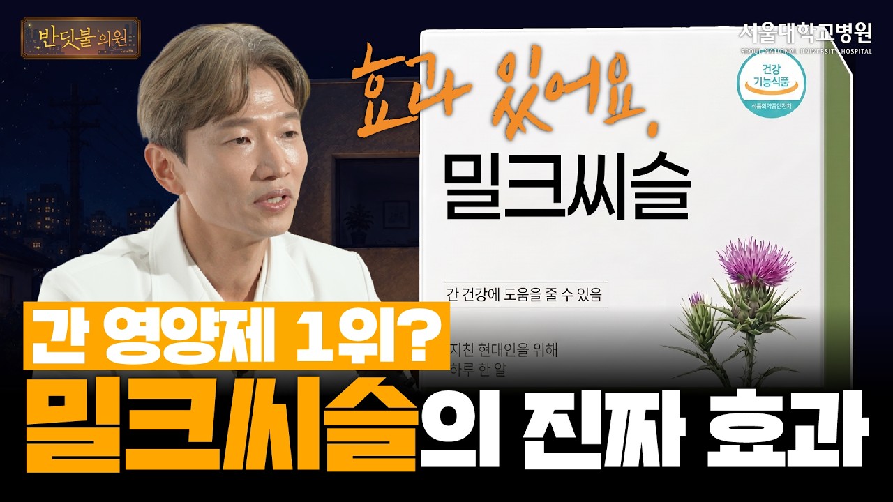 [건강 TV]매일 챙겨 먹는 밀크씨슬, 정말 간에 도움이 될까? 의사가 알려주는 진짜 효과