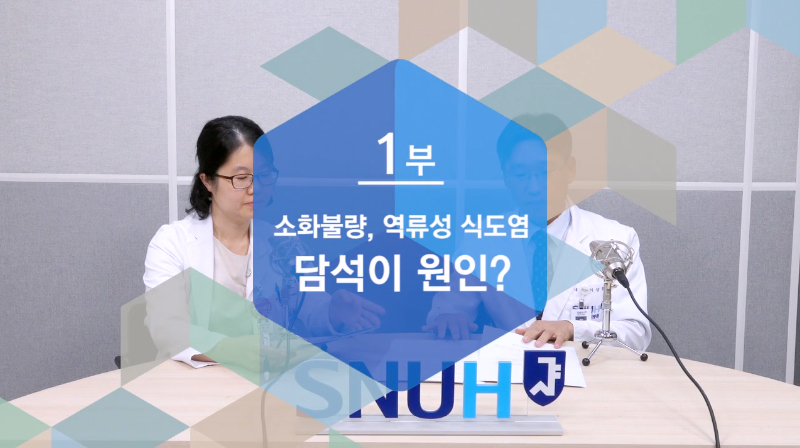 [건강톡톡](109편) 소화불량과 역류성 식도염의 원인이 담석?